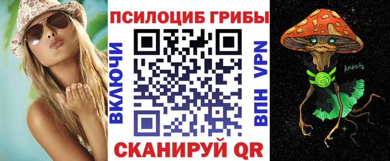 Купить закладки  Бердск  Псилоцибиновые грибы Psilocybe 