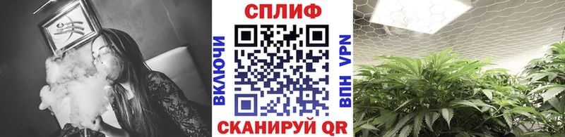 Марихуана конопля  Купить закладки  Бердск 